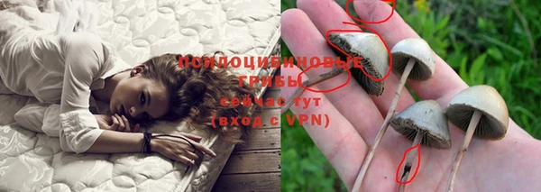 ешки Покров