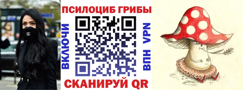 Псилоцибиновые грибы Magic Shrooms  Балашиха 