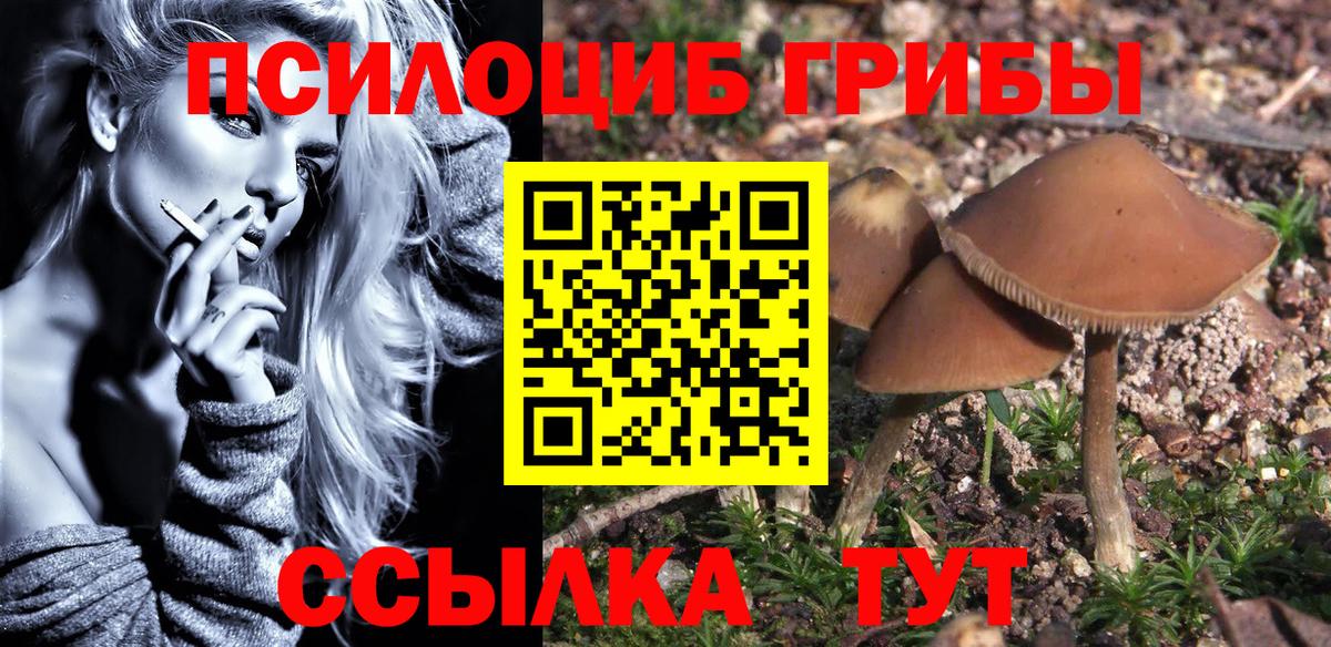 Галлюциногенные грибы MAGIC MUSHROOMS Балашиха