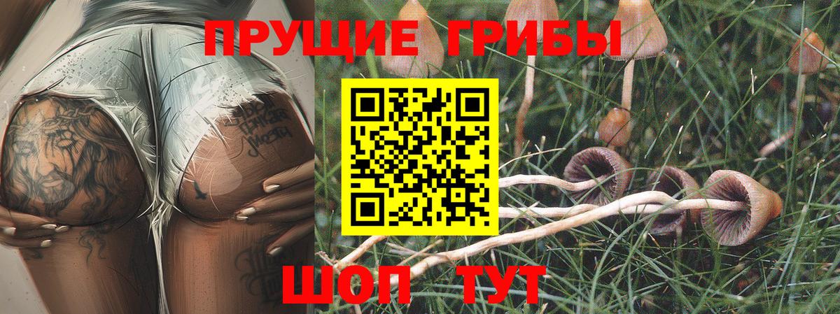 Псилоцибиновые грибы MAGIC MUSHROOMS  Вход с VPN  Балашиха 